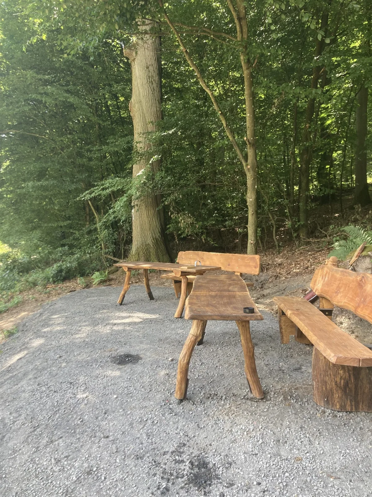 Sitzgruppe aus Bänken und Tisch im Eltviller Wald