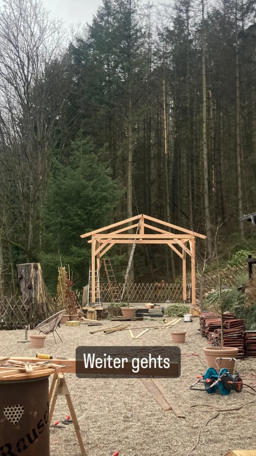 Pavillon aus Douglasie in Eltville: Rohbau der Konstruktion im Frühjahr